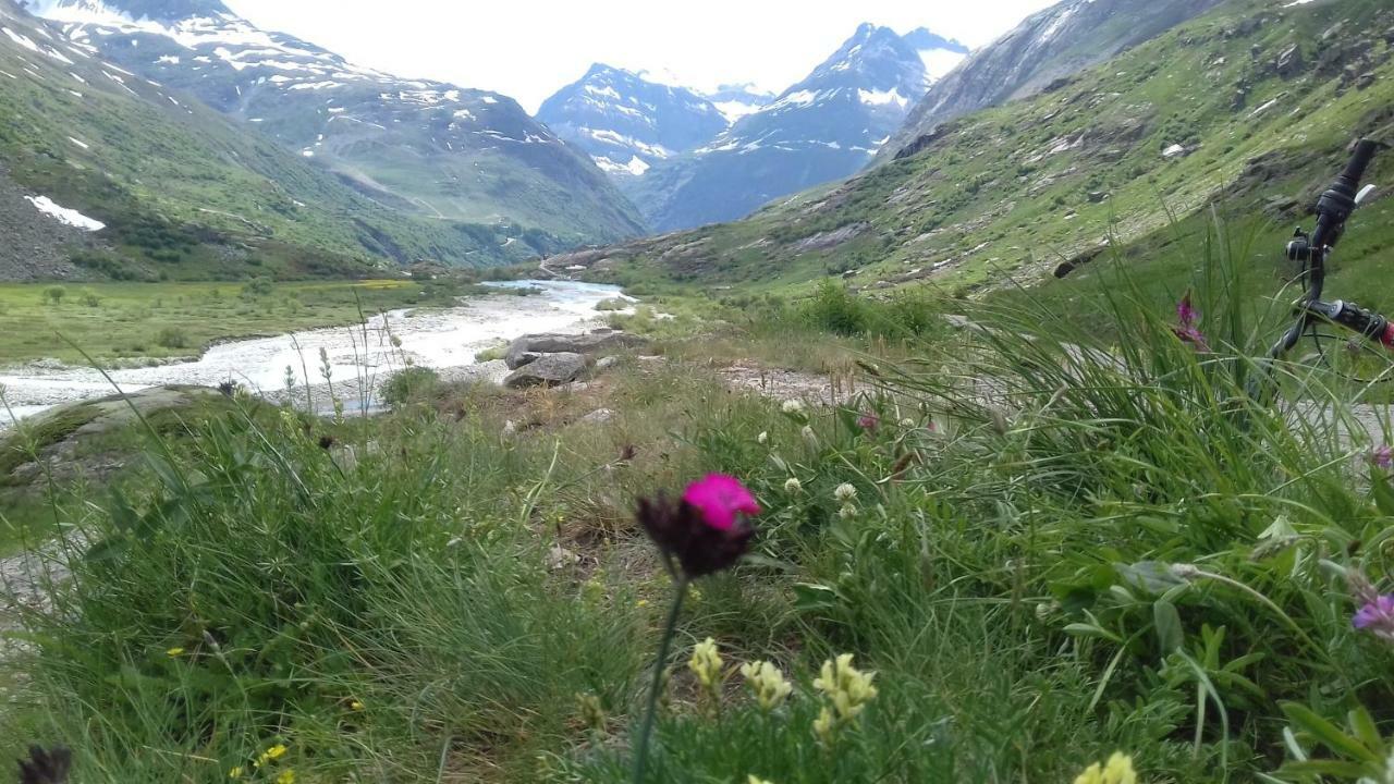 Chalet Le Bois Joli Bonneval-sur-Arc Eksteriør billede