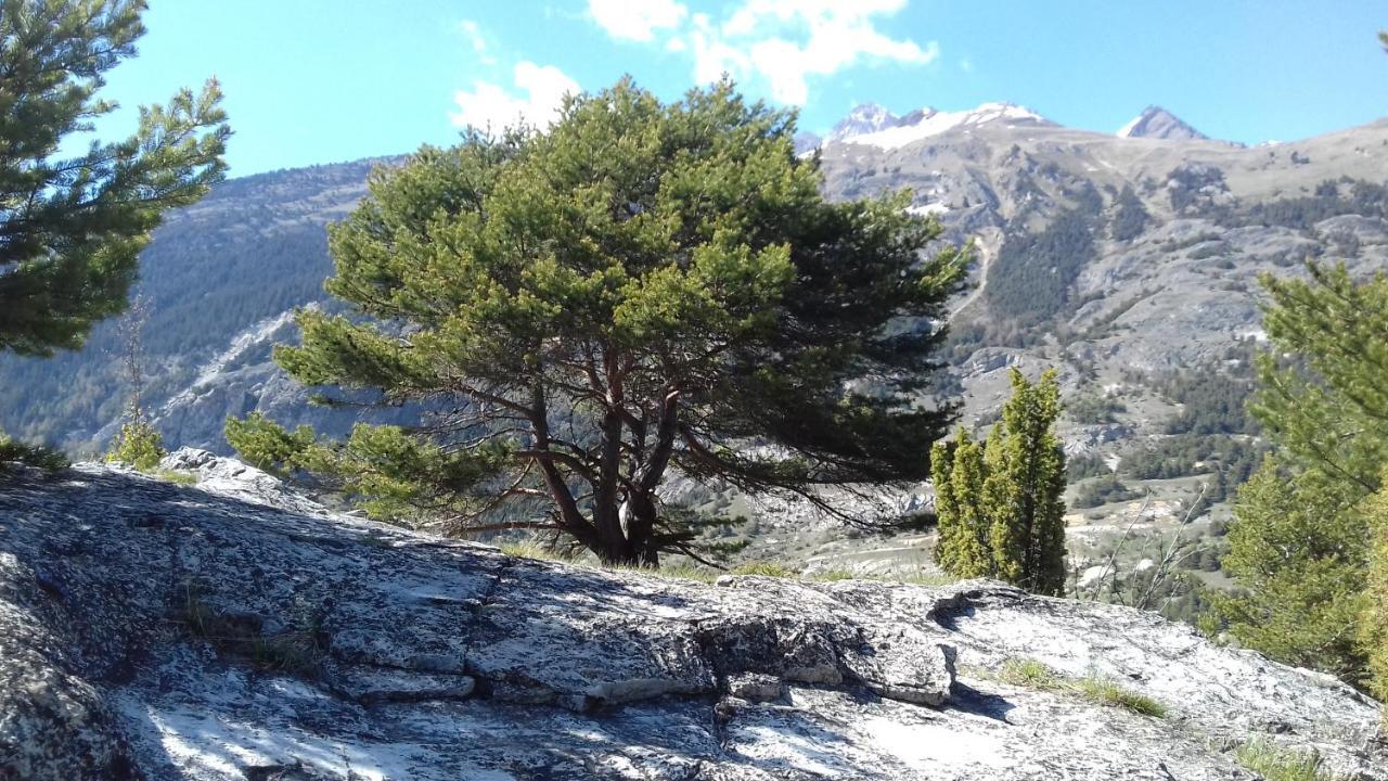 Chalet Le Bois Joli Bonneval-sur-Arc Eksteriør billede